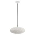 View 1 for Livex Lighting Dublin 1-Light Large Pendant Light