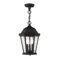 Livex Lighting Hamilton 3-Light Medium Outdoor Pendant Lanternimage