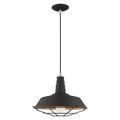 View 1 for Livex Lighting Metal Shade Mini Pendant Light