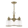 View 1 for Livex Lighting Middlebush Convertible Chandelier / Semi-Flush Light