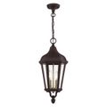 View 1 for Livex Lighting Morgan 2-Light Medium Outdoor Pendant Lantern