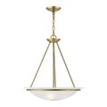 View 1 for Livex Lighting Newburgh 3-Light Pendant Chandelier