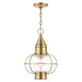 View 1 for Livex Lighting Newburyport 1-Light Large Outdoor Pendant Lantern
