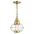 View 1 for Livex Lighting Newburyport 1-Light Medium Outdoor Pendant Lantern