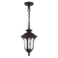 View 1 for Livex Lighting Oxford 1-Light Small Outdoor Pendant Lantern