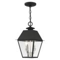 View 1 for Livex Lighting Wentworth 2-Light Medium Outdoor Pendant Lantern