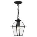 View 1 for Livex Lighting Westover 1-Light Small Outdoor Pendant Lantern