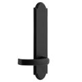 View 1 for Ageless Iron Dome Tall Plate Door Set With Crescent Lever