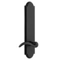 View 1 for Ageless Iron Dome Tall Plate Door Set With Tine Lever