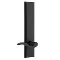 View 1 for Ageless Iron Keep Tall Plate Door Set With Palisade Lever
